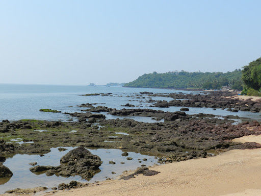 Photo of Here’s a Complete List of the Best Beaches in GOA by Srishti (still.winds)