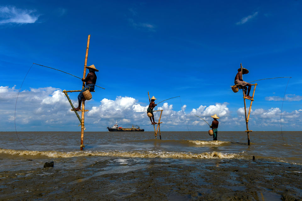 Photo of Stilt Fishing in West Bengal, India by Shibasish Saha