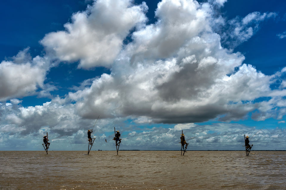 Photo of Stilt Fishing in West Bengal, India by Shibasish Saha