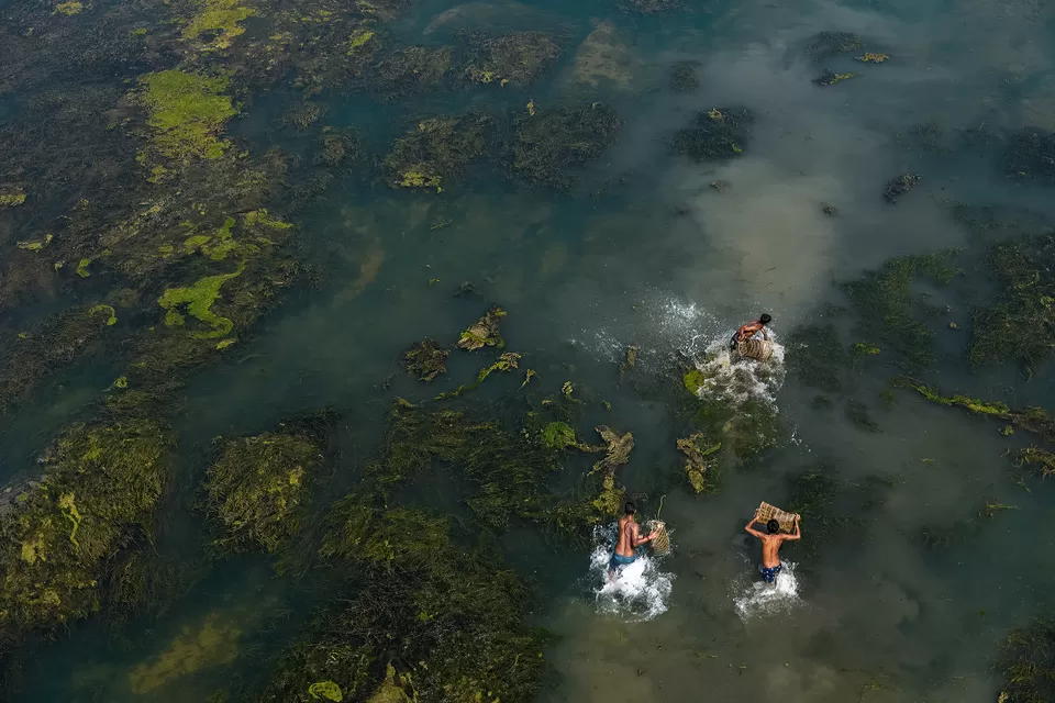 Photo of A Photographer's Delight: Fishermen At Work, Near Mossy River by Shibasish Saha