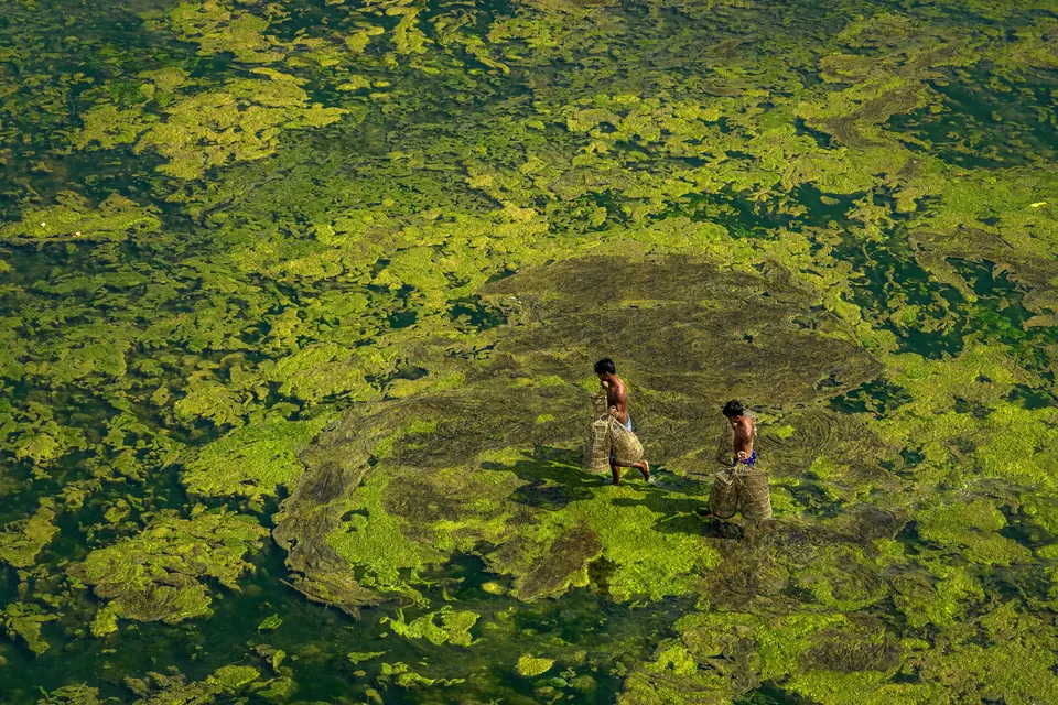 Photo of A Photographer's Delight: Fishermen At Work, Near Mossy River by Shibasish Saha