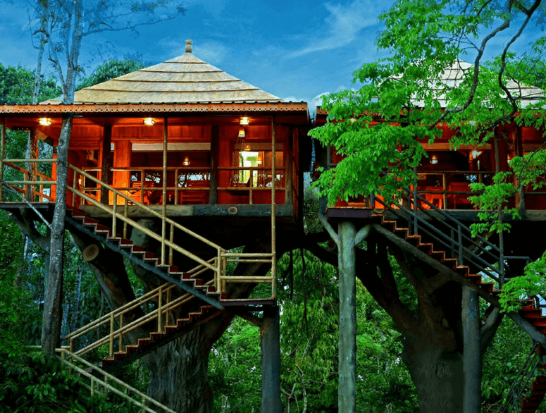 Photo of 10 Most Luxurious Travel Experiences in India You Need to Tick off Before 2021 Ends! by Kuntala Banerjee