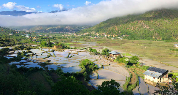 Photo of After 60 Long Years, the Sacred Trans Bhutan Trail Opens for Tourists by Kuntala Banerjee