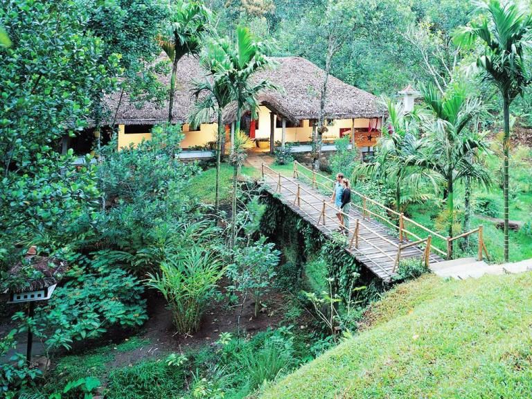 Photo of Plan Your Big Trip for 2022: A 14-day Itinerary to Explore the Best of South India by Kuntala Banerjee