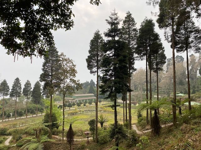 Photo of A Quieter Alternative To Darjeeling - Here's All You Need To Know About Takdah by Kuntala Banerjee