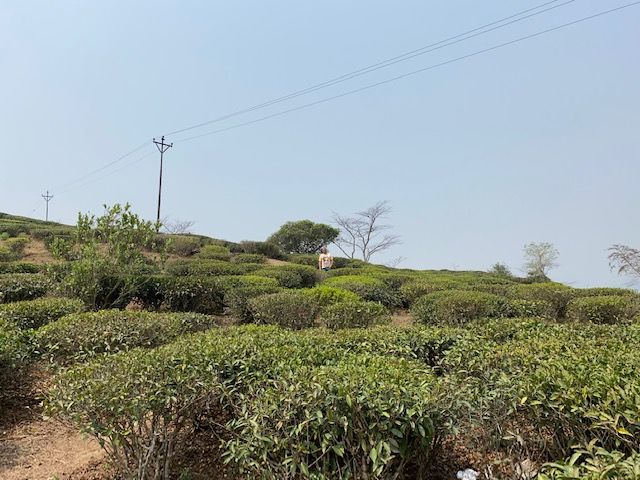 Photo of A Quieter Alternative To Darjeeling - Here's All You Need To Know About Takdah by Kuntala Banerjee