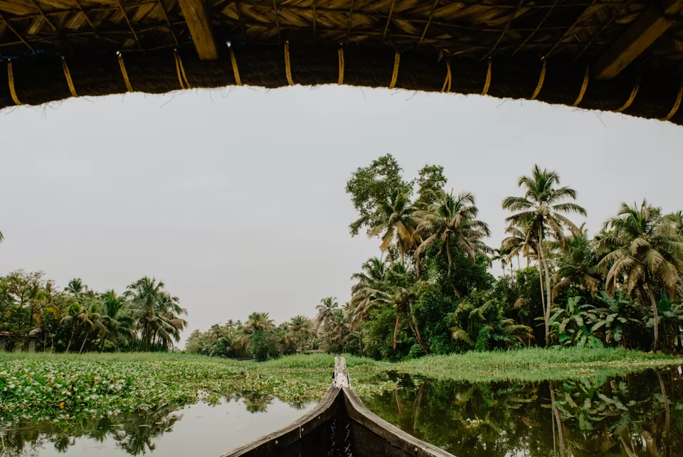 Photo of Alleppey Backwater, Alappuzha by Abdullah Saghir Ahmad