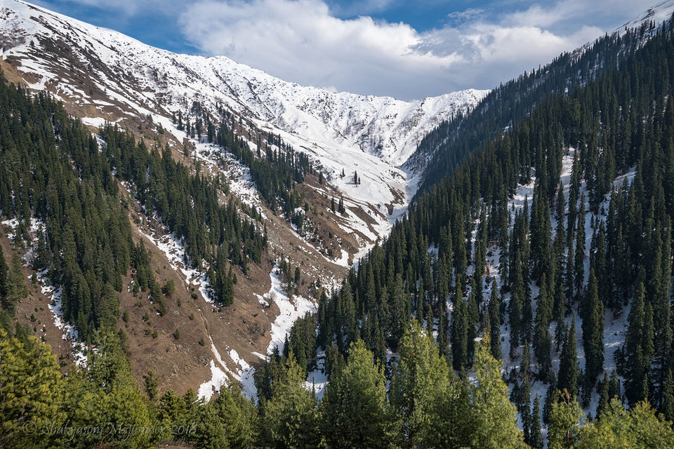 Photo of All You Need To Know About Razdan Pass, Kashmir by Aparajita
