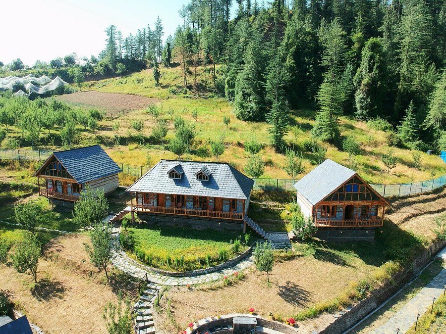 Photo of All You Need to Know About Cheog Village, Himachal by Aparajita