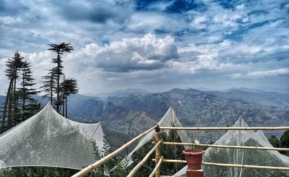 Photo of All You Need to Know About Cheog Village, Himachal by Aparajita