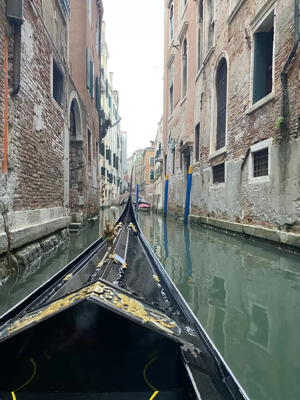 Photo of Venetian Dreams: A 3 Day Romance with the Floating City by Sucheta Sarkar