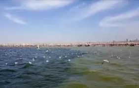 Photo of My Visit to Maha Kumbh Mela 2025 at Prayagraj - A Lesson in Resilience and Patience by Shilpa Shenoy