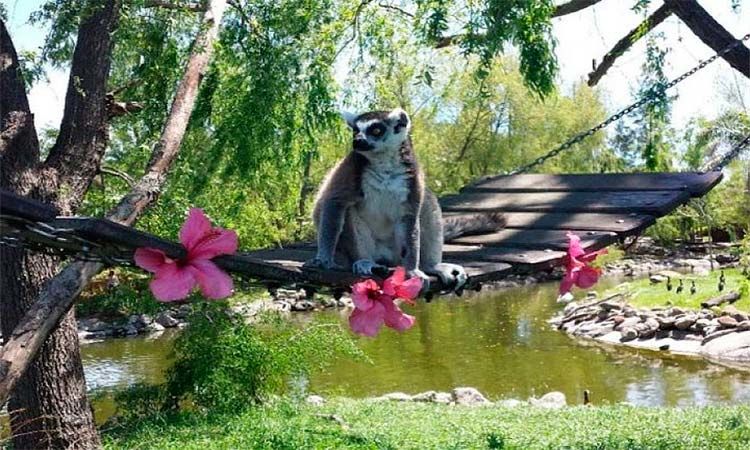 Photo of One day at Temaiken Biopark by Enotus