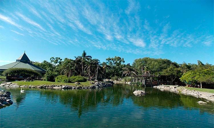 Photo of One day at Temaiken Biopark by Enotus
