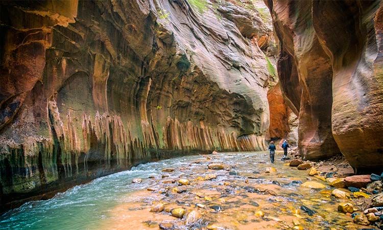 Photo of Zion National Park in Las Vegas by Enotus