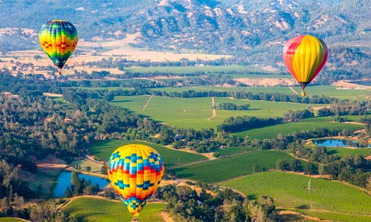 Photo of Napa Valley in San Francisco by Enotus