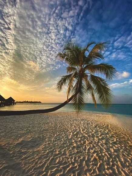 Photo of Why Maldives – Reasons you simply need to visit by Pavithra Jinadasa