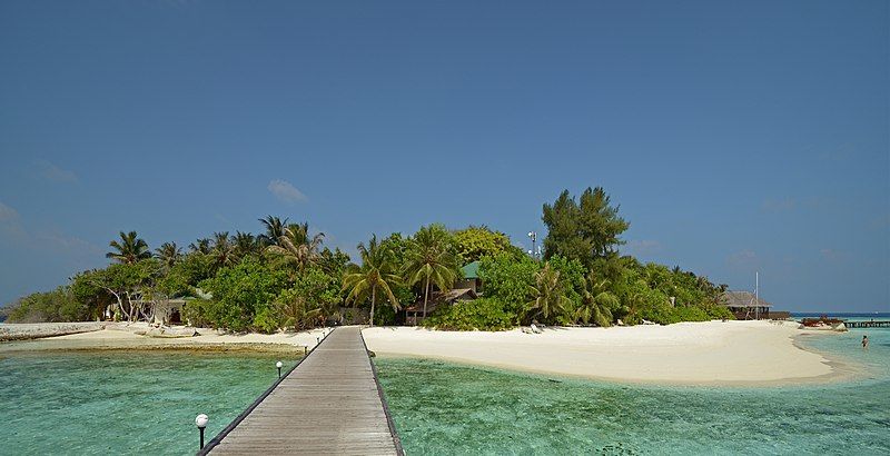 Photo of Why Maldives – Reasons you simply need to visit by Pavithra Jinadasa