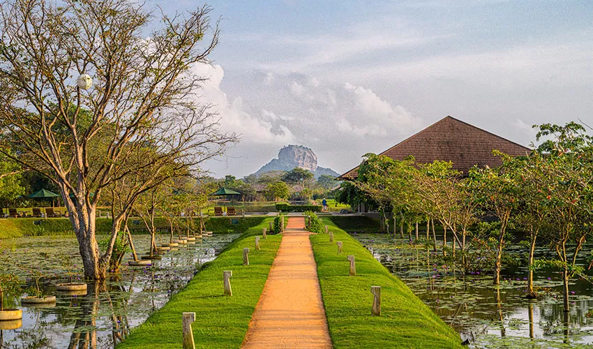 Photo of How to be a Responsible Traveller to Sigiriya, Sri Lanka – Tips to Enjoy Sustainable Adventures by Pavithra Jinadasa