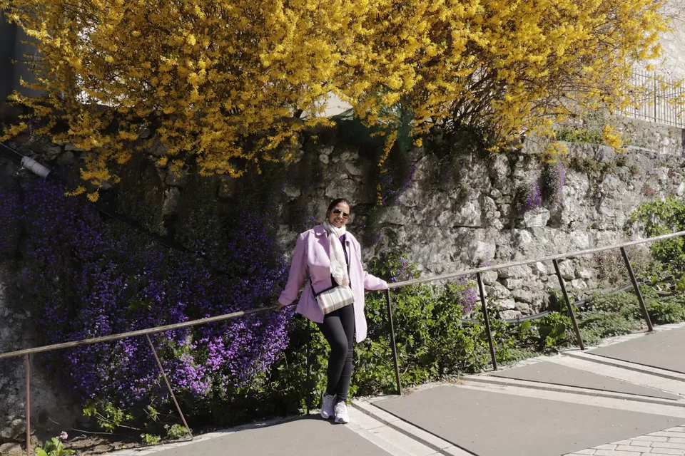 Photo of Grenoble, Annecy and Vizille; a packed yet refreshing escape to the mountains by Suchibrata Borah