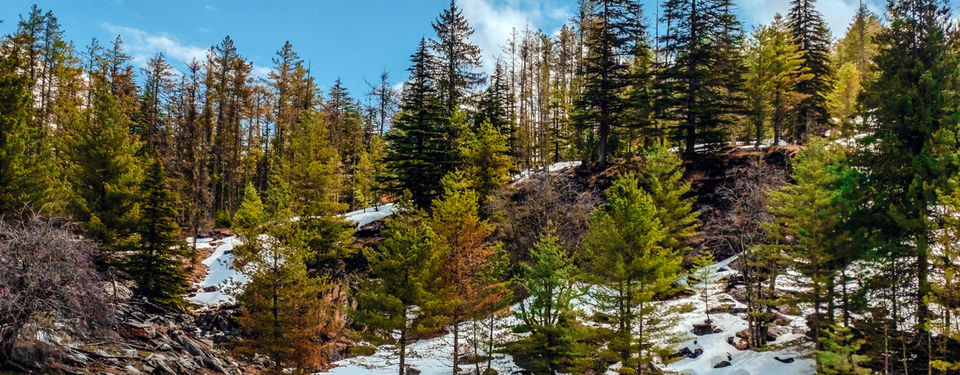 Photo of Harsil - Hidden Jewel of Uttarakhand. by Jinal Shah