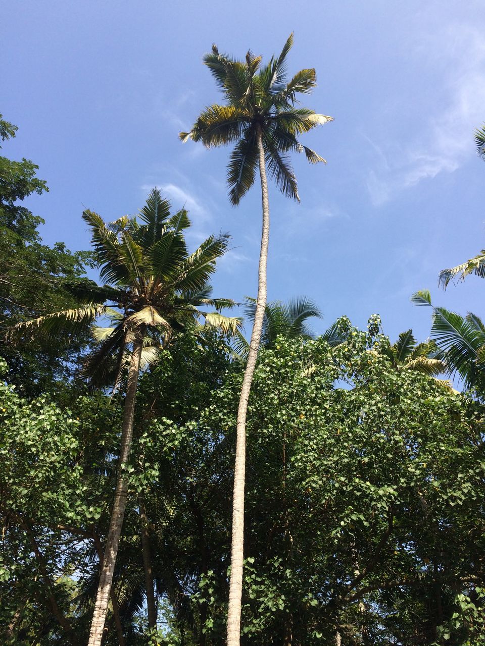Photo of Indulging with the Three-Crescent Beach of India– ‘Kovalam at Gods Own Country’ Kerala. #TM2021 by Yash Bhavsar