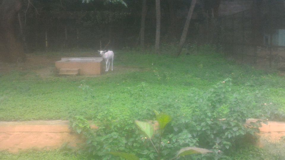 Photo of Mysore and Coorg Trip by Amit Bhattacharya