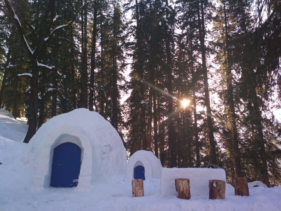 Photo of Feel the Arctic Region by Staying in an Igloo in India. Yes, You Heard Me Right! Location Below! by Tanisha Mundra