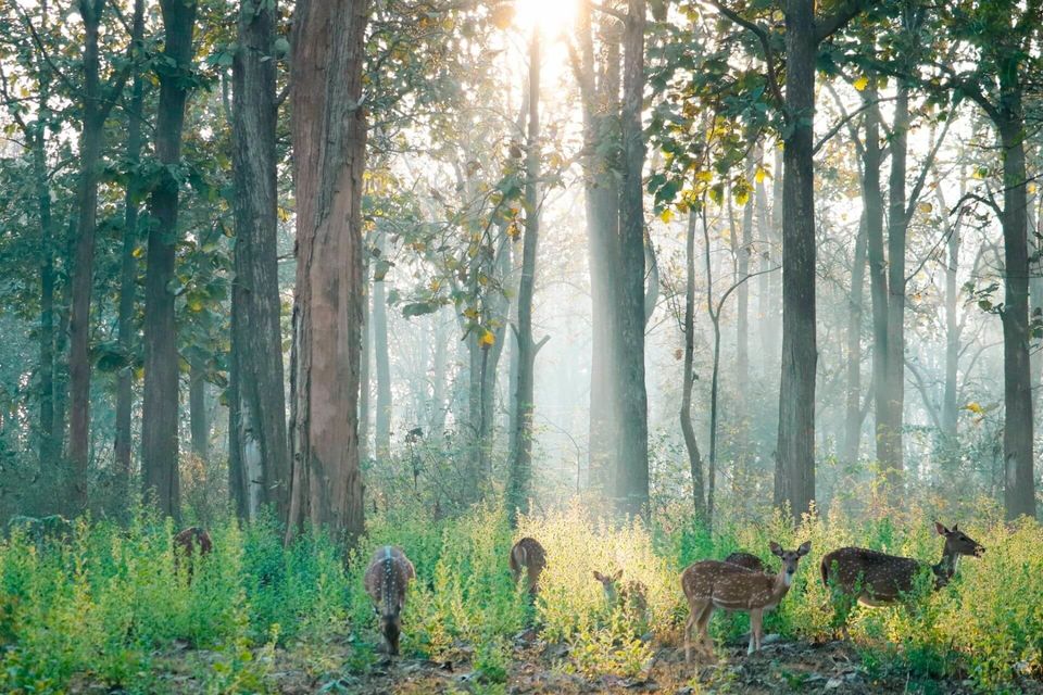 Photo of These 12 Offbeat Places in India Will Make You Forget Your Travel Plans Abroad This April by Tanisha Mundra