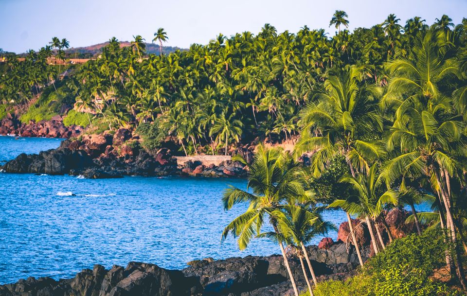 Photo of All You Need to Know About Travelling to Goa by Tanisha Mundra