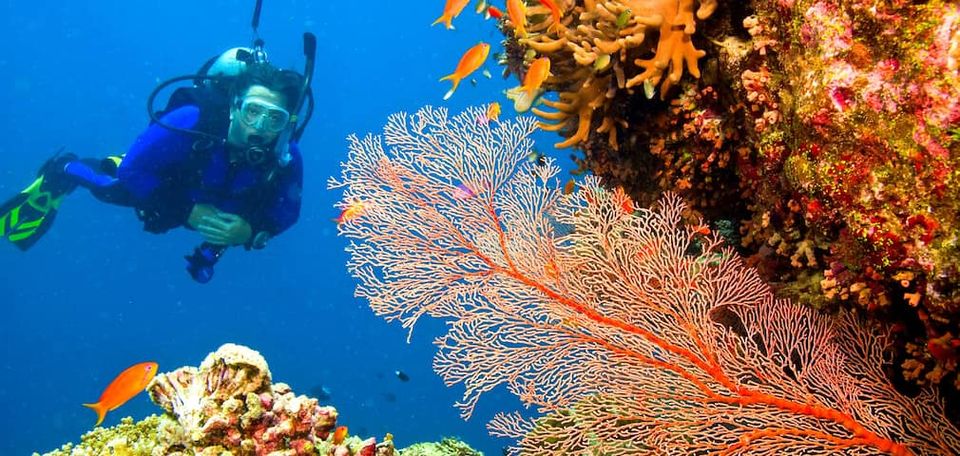 Photo of All You Need to Know About Travelling to Goa by Tanisha Mundra