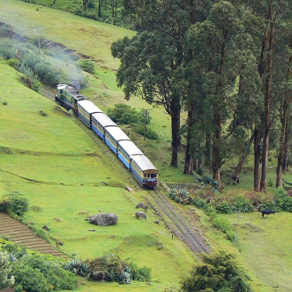 Photo of Ooty Toy Train Ride Offering Enchanting Views of the Nilgiris! by Tanisha Mundra