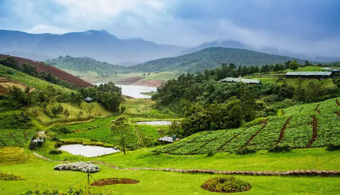 Photo of Ooty Toy Train Ride Offering Enchanting Views of the Nilgiris! by Tanisha Mundra