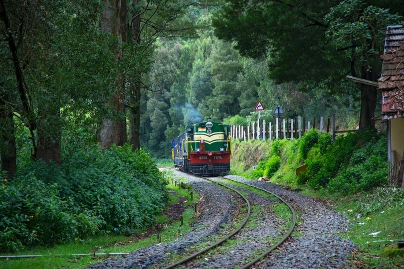 Photo of Ooty Toy Train Ride Offering Enchanting Views of the Nilgiris! by Tanisha Mundra