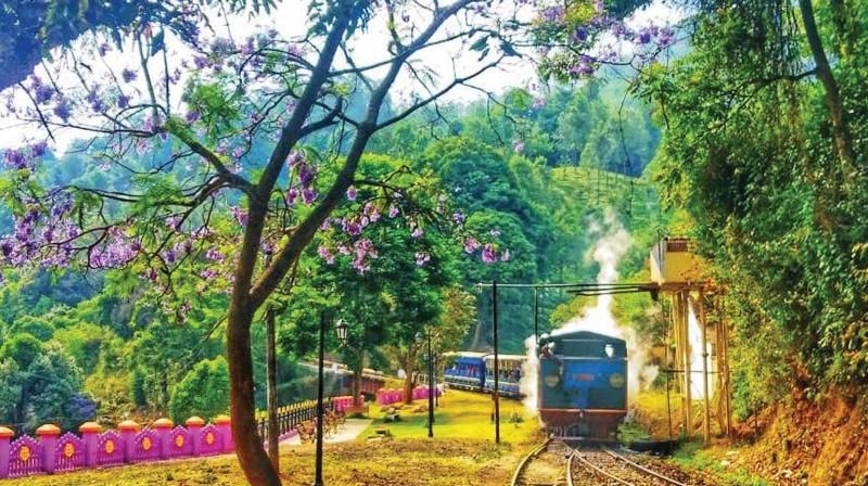 Photo of Ooty Toy Train Ride Offering Enchanting Views of the Nilgiris! by Tanisha Mundra