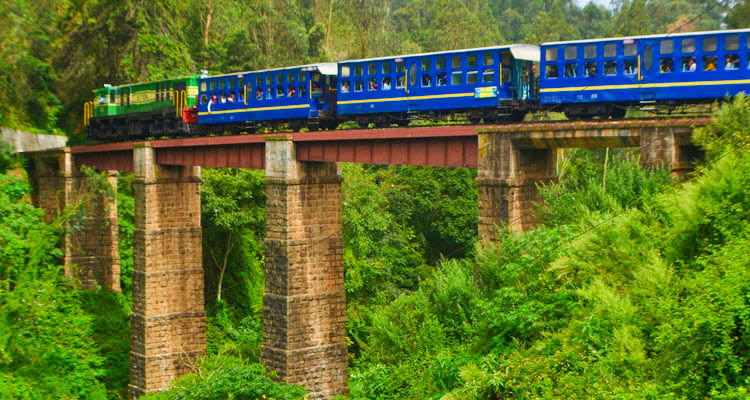Photo of Ooty Toy Train Ride Offering Enchanting Views of the Nilgiris! by Tanisha Mundra