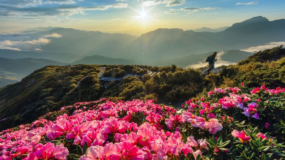 Photo of Taiwan Will Offer Visitor Perks of $165 (₹13,653) To 5,00,000 Tourists to Visit the Country by Tanisha Mundra