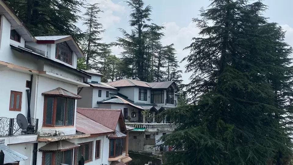 Photo of पहली बार जा रहे हैं शिमला, तो इन चार जगहों पर जाना न भूलें, यादगार होगा ट्रिप by Vineet Singh