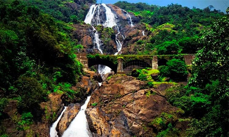 Photo of Dudhsagar waterfall in Goa by TinaGeller