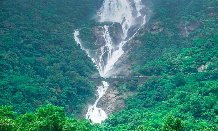 Photo of Dudhsagar waterfall in Goa by TinaGeller