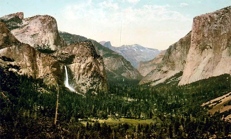 Photo of Yosemite National Park by TinaGeller