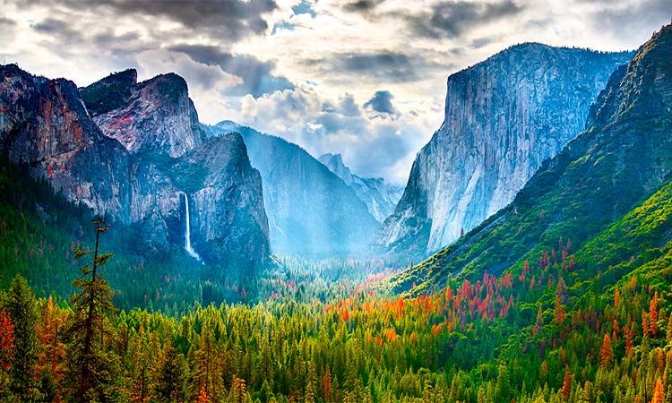 Photo of Yosemite National Park by TinaGeller