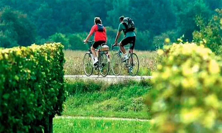 Photo of Excursions in Bordeaux by bike Bordeaux by TinaGeller