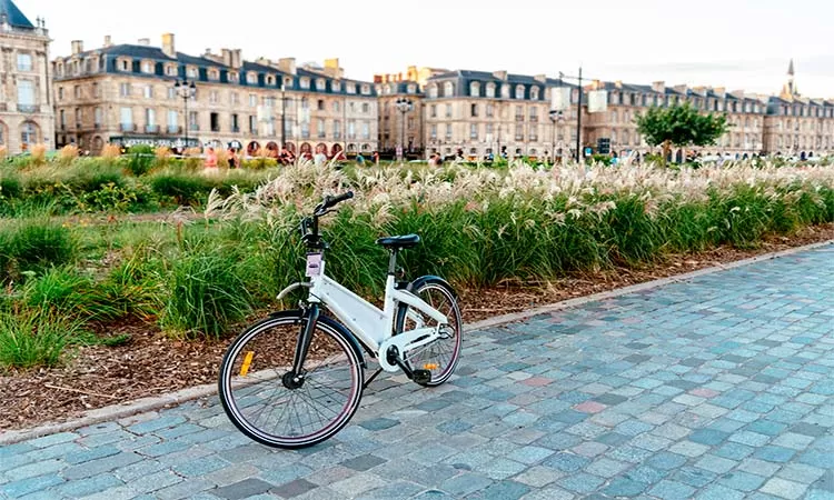 Photo of Excursions in Bordeaux by bike Bordeaux by TinaGeller