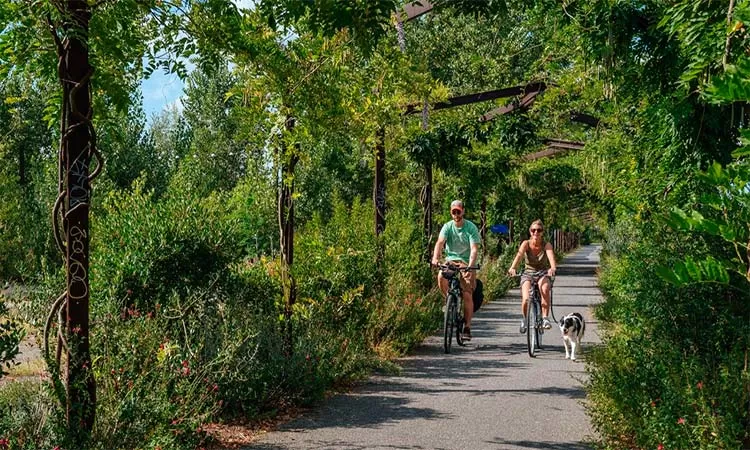 Photo of Excursions in Bordeaux by bike Bordeaux by TinaGeller