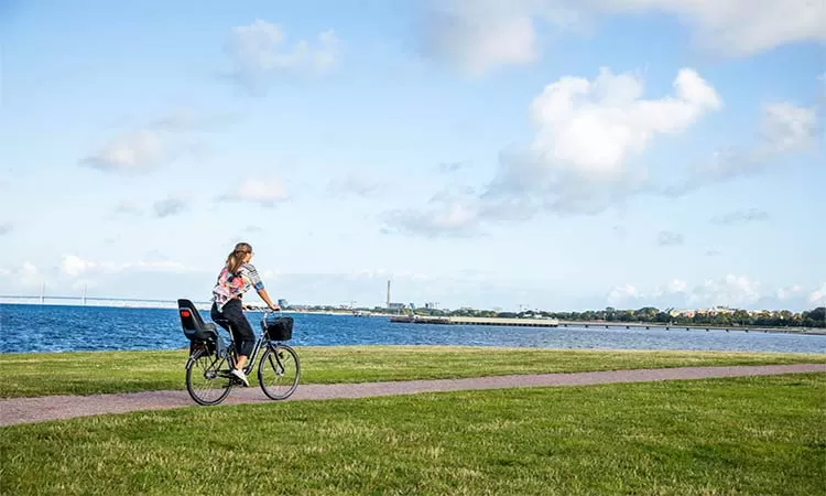 Photo of The whole of Malmö by bike by TinaGeller