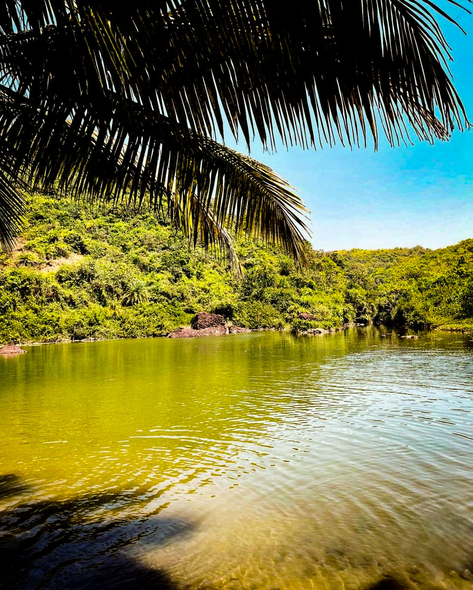 Photo of Chalo Chale Goa by Rishabh Dey