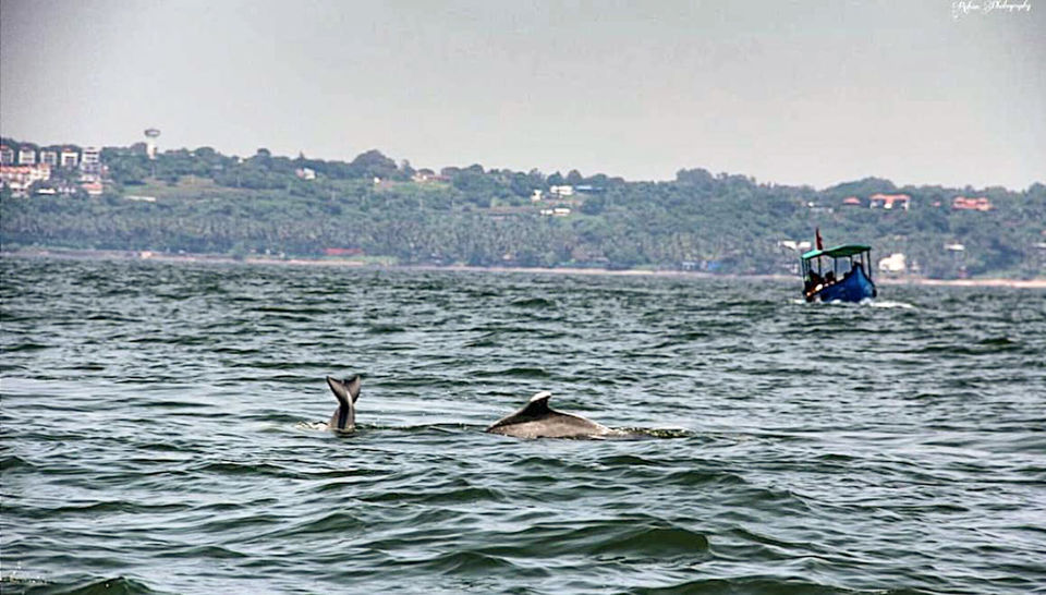 Photo of Chalo Chale Goa by Rishabh Dey