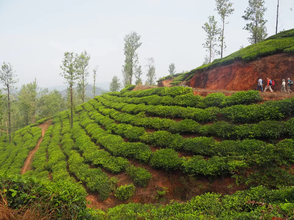 Photo of 10 Best Places To Visit In India This September 2023 by Varsha Banerjee