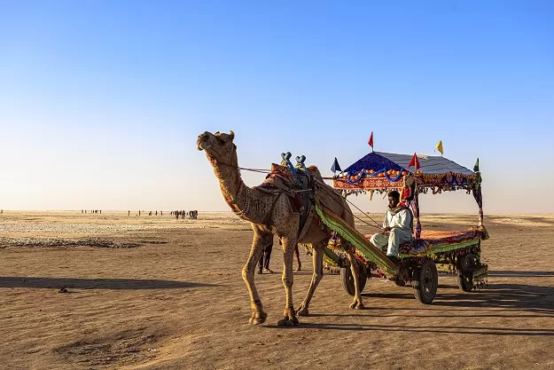 Photo of All You Need To Know About Rann Utsav 2023, Kutch by Varsha Banerjee (Crazy Jetsetters)